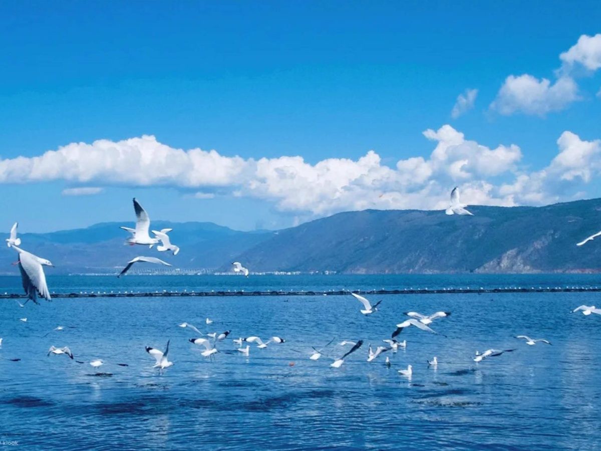 Yunnan Tour
