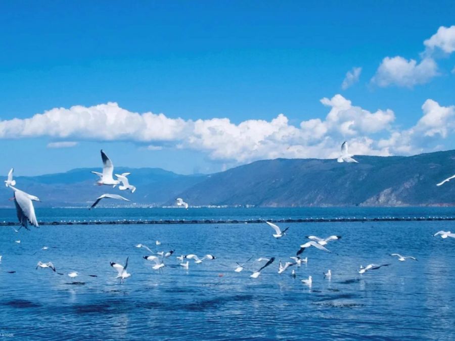 Yunnan Tour