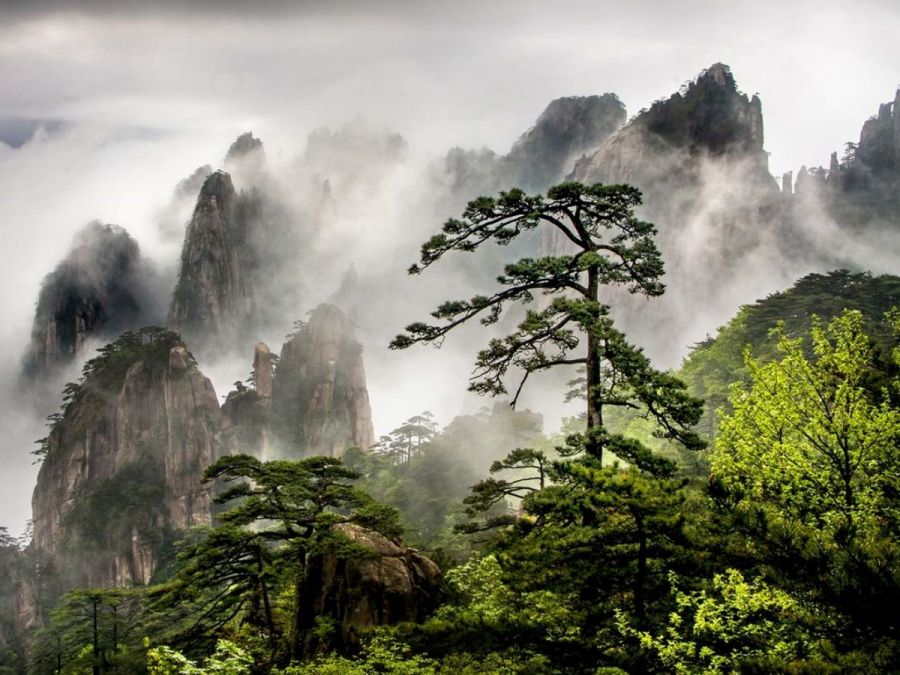 China Foto Tour en Huangshan