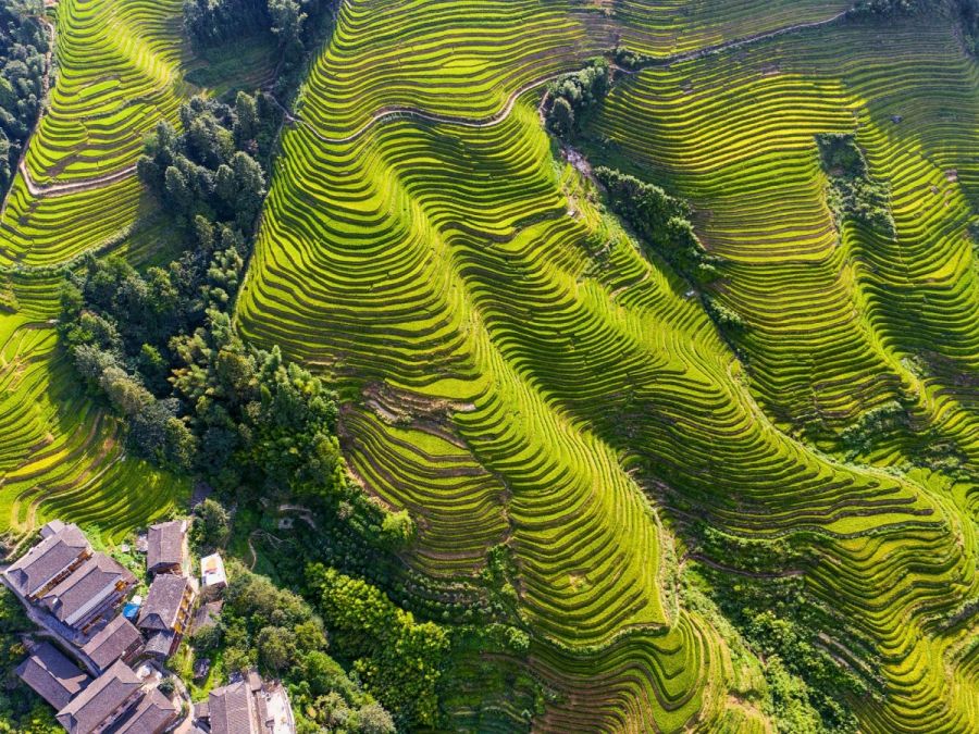 China Minorías Tour en Guizhou y Guangxi