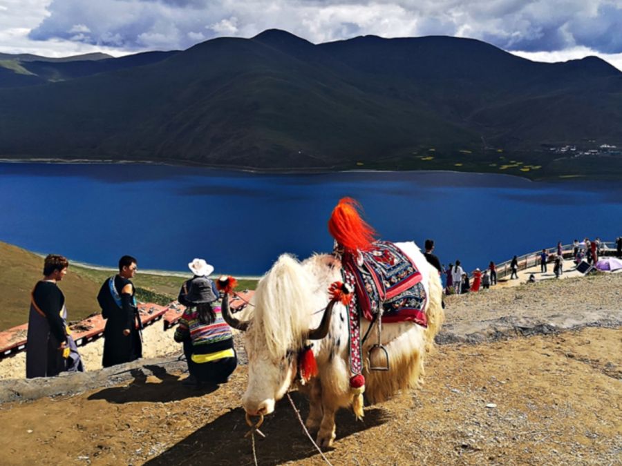 Aventura en Tíbet & Triángulo de Oro Tour